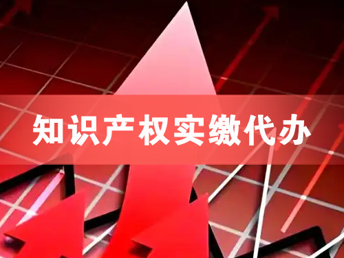 临江知识产权实缴资本代办